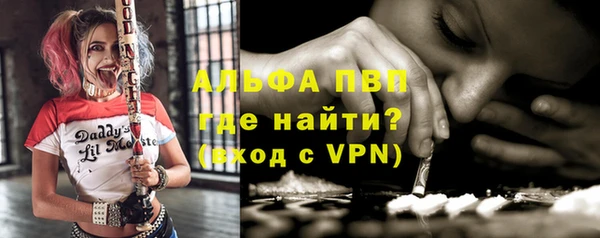 ECSTASY Пересвет