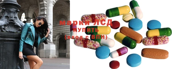 PSILOCYBIN Покачи