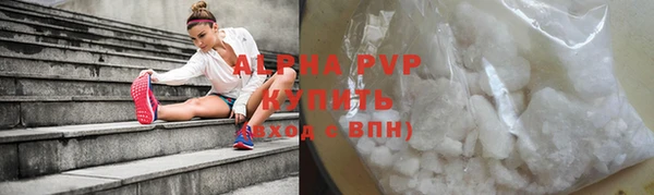 ECSTASY Пересвет