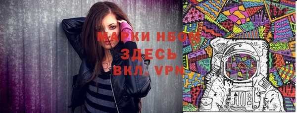 PSILOCYBIN Покачи