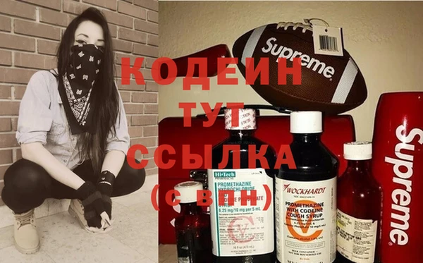 ECSTASY Пересвет