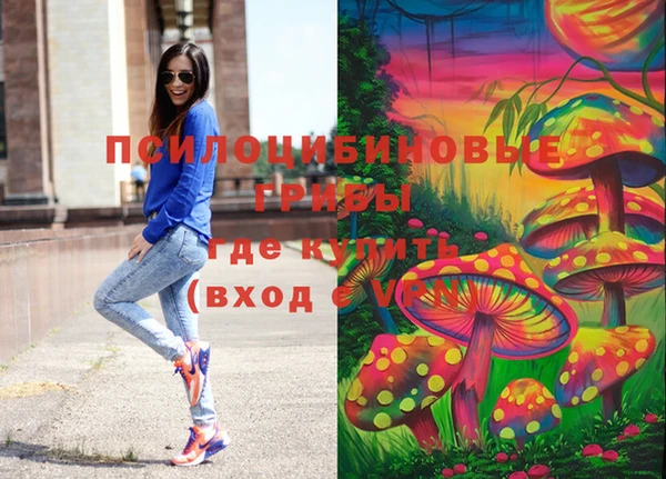 индика Покровск
