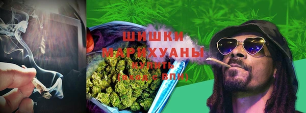PSILOCYBIN Покачи