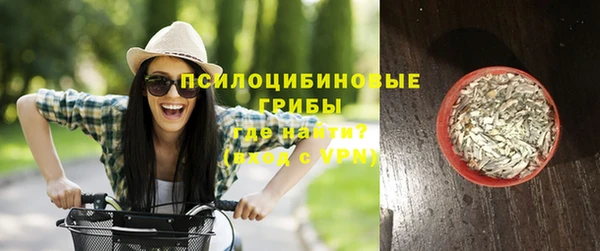 индика Покровск