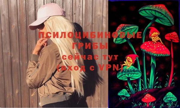 ECSTASY Пересвет