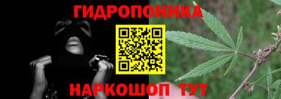 apvp Бийск