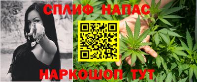 apvp Бийск