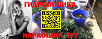 apvp Бийск