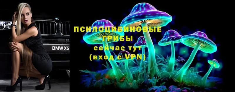 Псилоцибиновые грибы Psilocybe  blacksprut ссылка  Борзя  купить  