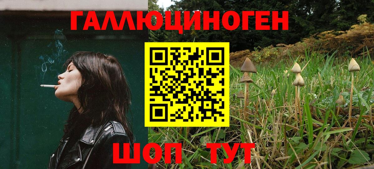 Борзя  Псилоцибиновые грибы прущие грибы  Вход с VPN 