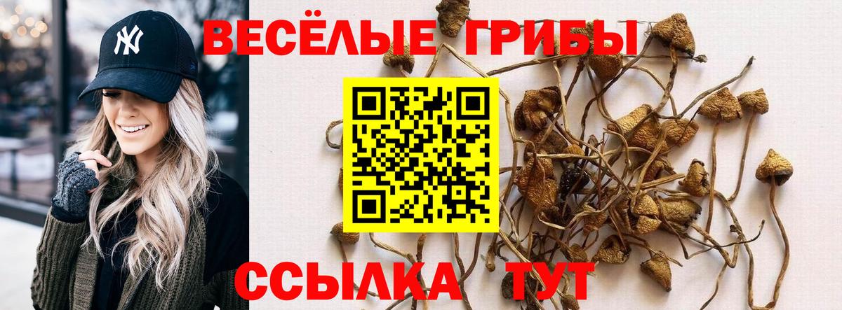 Борзя  COCAIN  Codein  Метамфетамин  Гашиш  Вход с VPN  МЕФ кристаллы  Купить наркоту  Канабис 