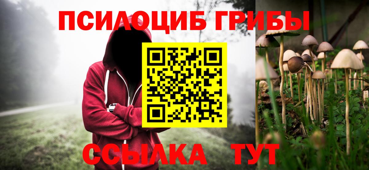Галлюциногенные грибы мухоморы Борзя
